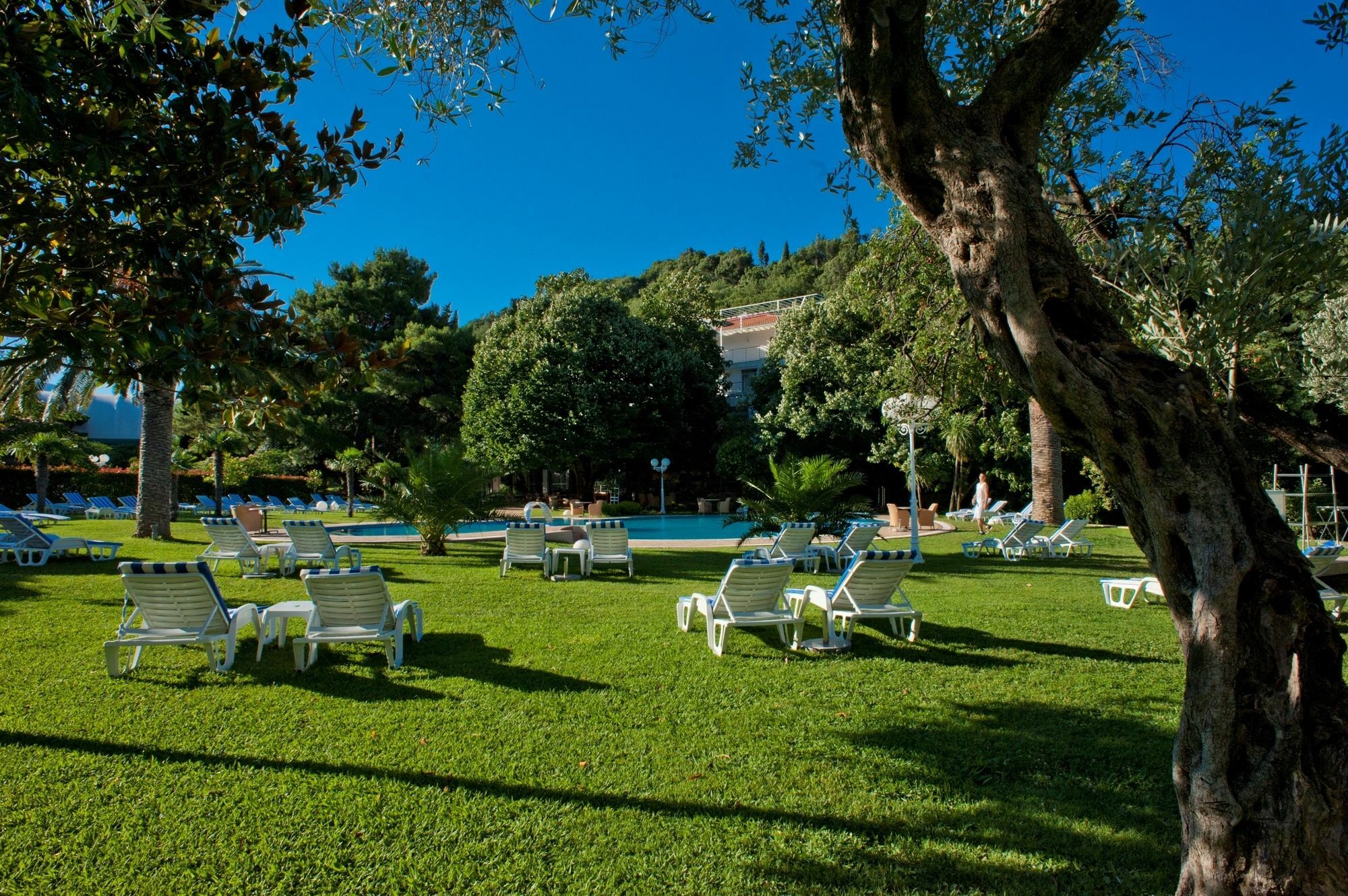 Hotel Rivijera Petrovac Buitenkant foto