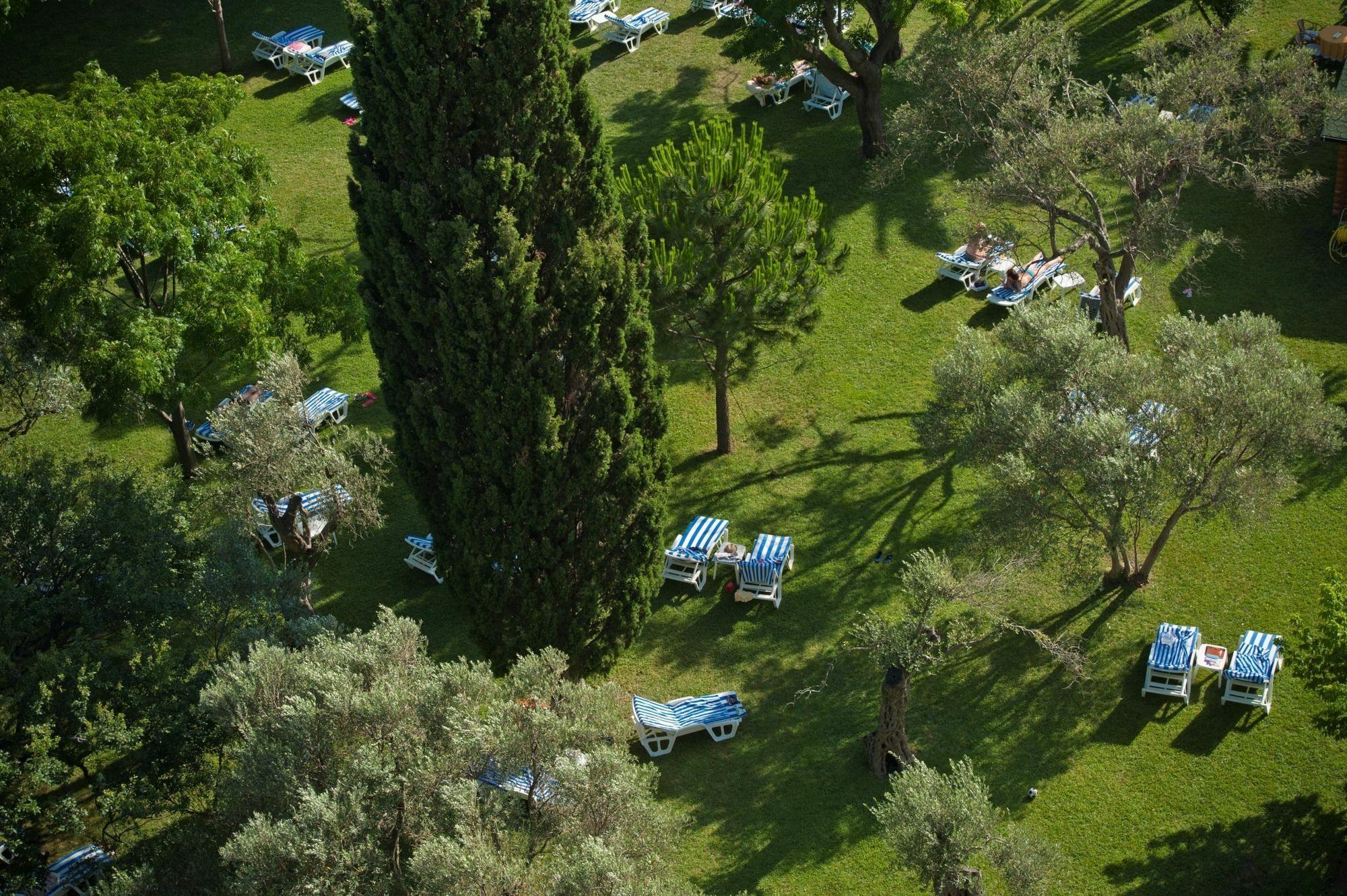 Hotel Rivijera Petrovac Buitenkant foto
