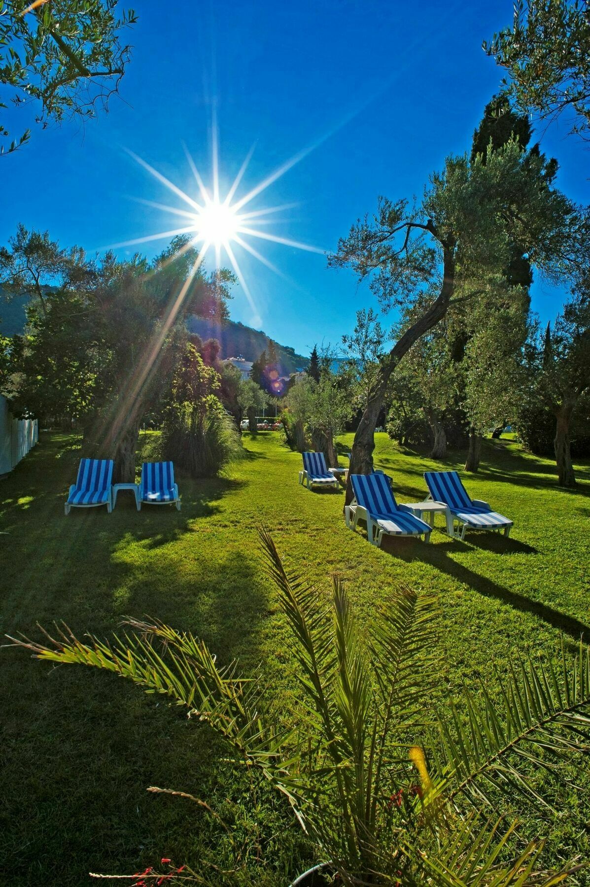 Hotel Rivijera Petrovac Buitenkant foto